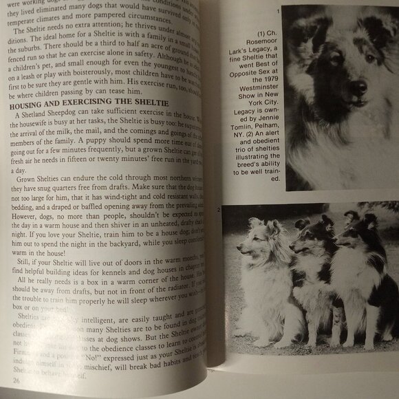 Shetland Sheepdogs by Mark Taynton and Beverly Pisano (1979, Hardcover) - Picture 7 of 7